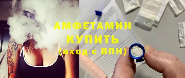 индика Рославль
