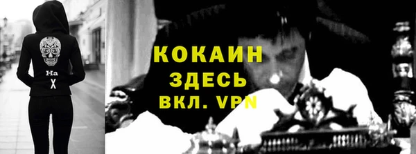 индика Рославль
