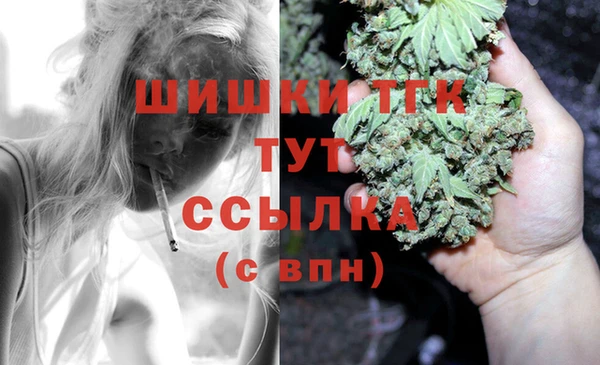 Альфа ПВП Пролетарск