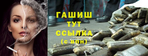 индика Рославль