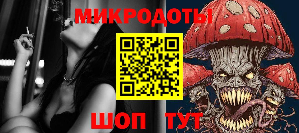 Псилоцибиновые грибы Psilocybe Котлас