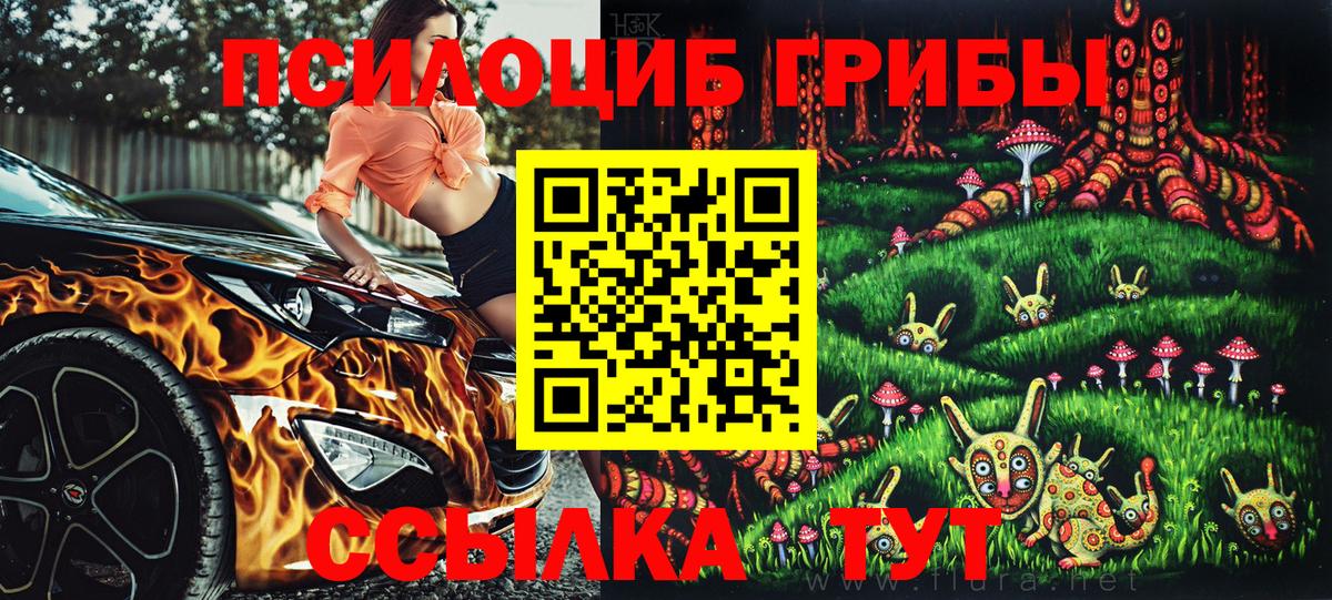 Галлюциногенные грибы MAGIC MUSHROOMS  Вход с VPN  Псилоцибиновые грибы Psilocybe  Котлас 