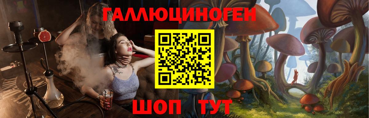 Галлюциногенные грибы GOLDEN TEACHER  Котлас 